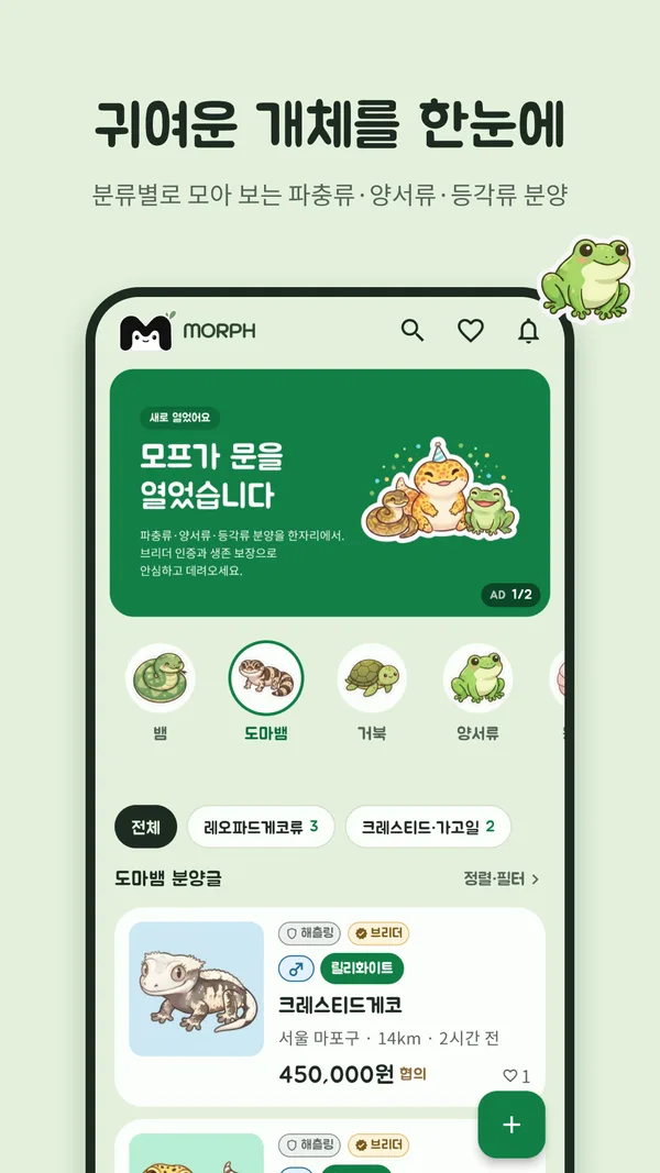 홈 — 분류별로 모아 보는 분양글
